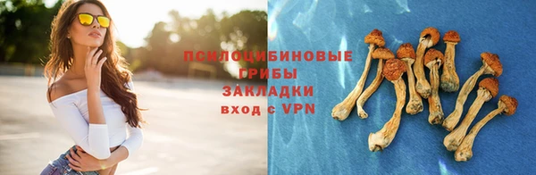 прущая мука Вяземский