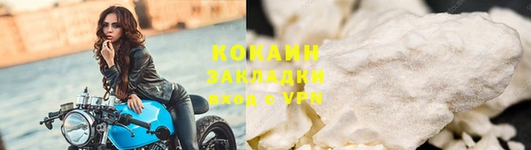 крисы Вязьма