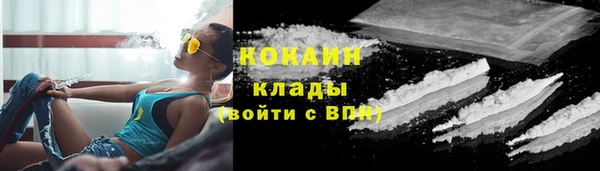 крисы Вязьма