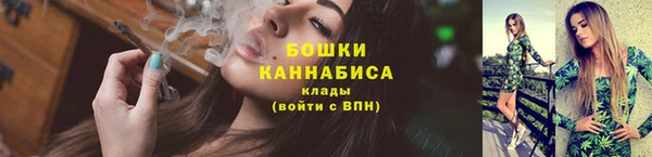 крисы Вязьма