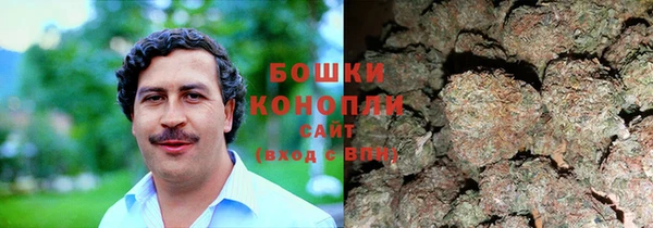 крисы Вязьма