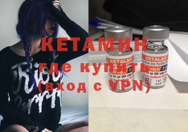 прущая мука Вяземский